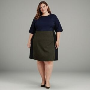 Hutch Colorblock Navy and Olive A-Line Dress Size 16W Career  Anthro